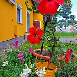 アパート Im Gruenen Herzen Dittersdorf
