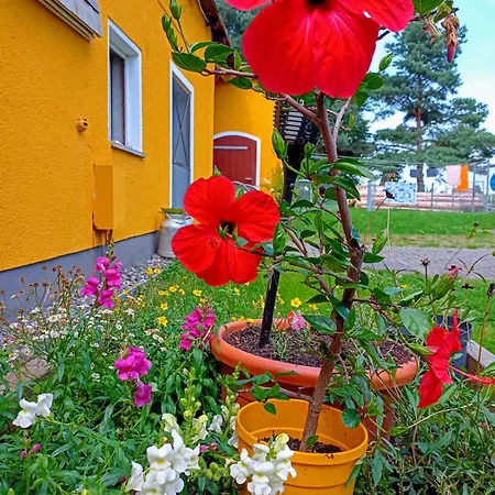 Apartman Im Gruenen Herzen Dittersdorf