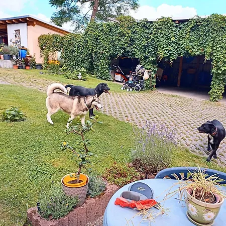 Daire Im Gruenen Herzen