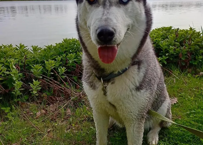 Daire Im Gruenen Herzen Dittersdorf