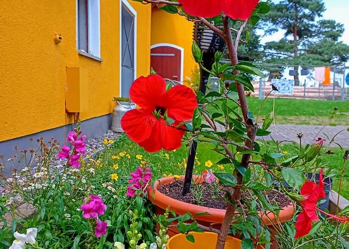 Lejlighed Im Gruenen Herzen Dittersdorf