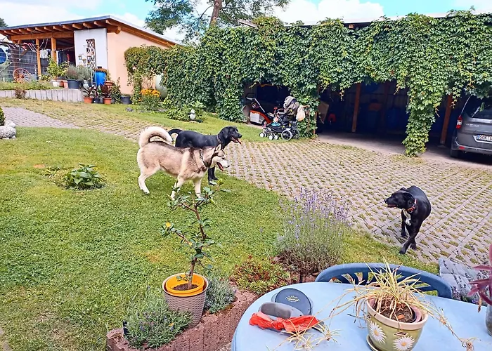 Daire Im Gruenen Herzen